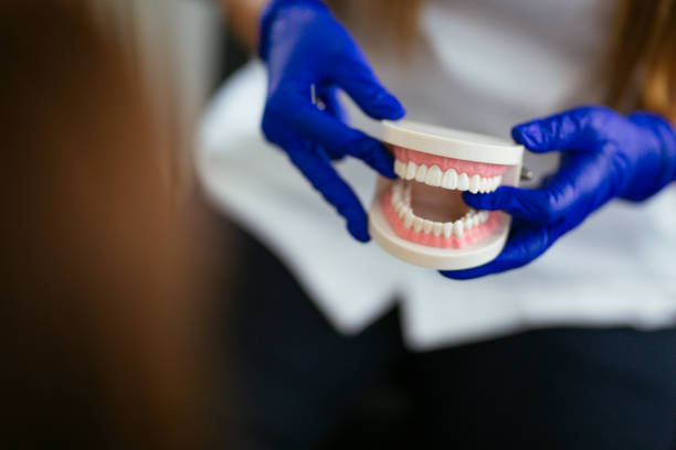 Why Choose Us for Your Dental Needs in South Daytona, FL